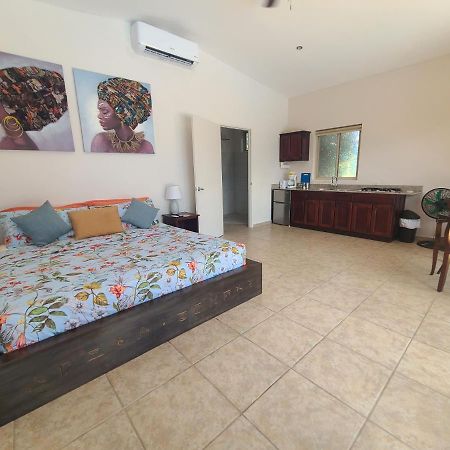 מלון דויד Pool House With Shared Pool Access מראה חיצוני תמונה