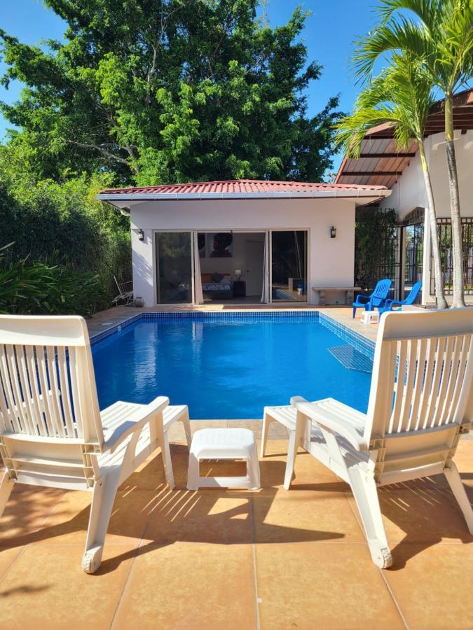 מלון דויד Pool House With Shared Pool Access מראה חיצוני תמונה