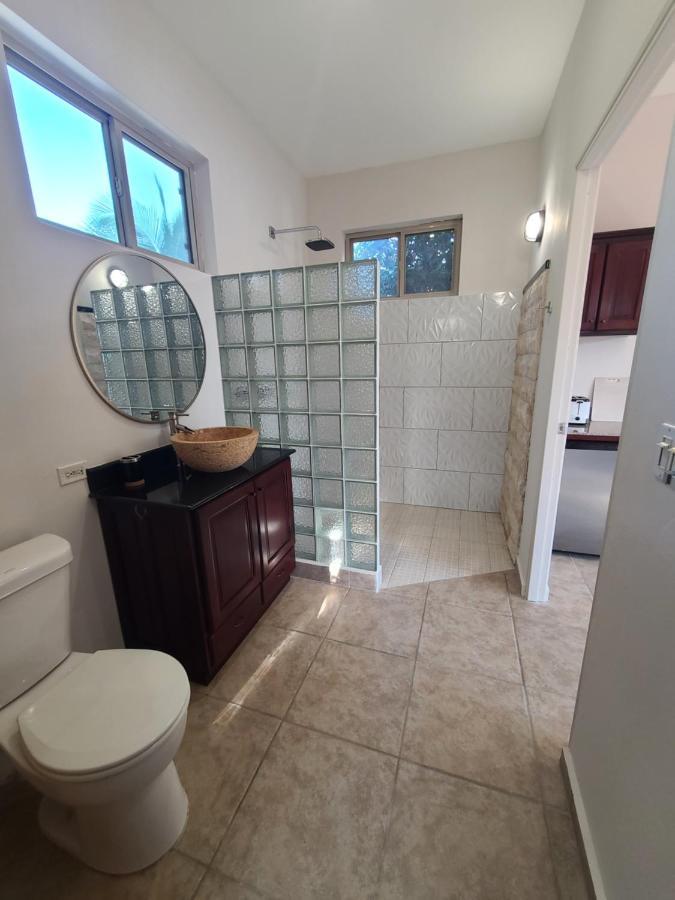 מלון דויד Pool House With Shared Pool Access מראה חיצוני תמונה